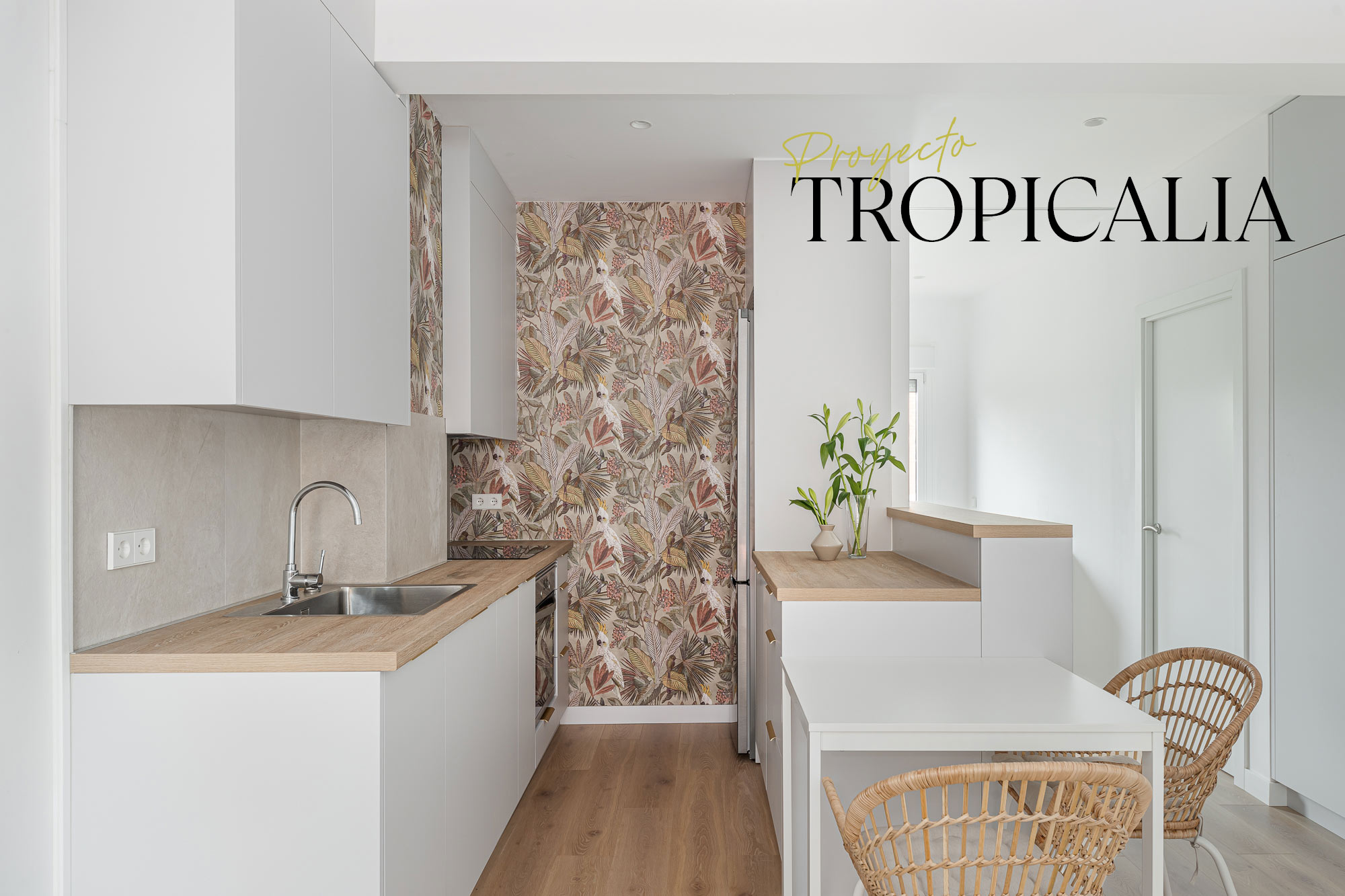Tropicalia portada